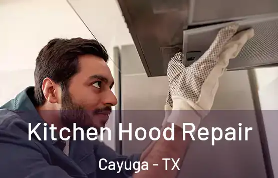  Kitchen Hood Repair Cayuga - TX