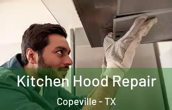  Kitchen Hood Repair Copeville - TX