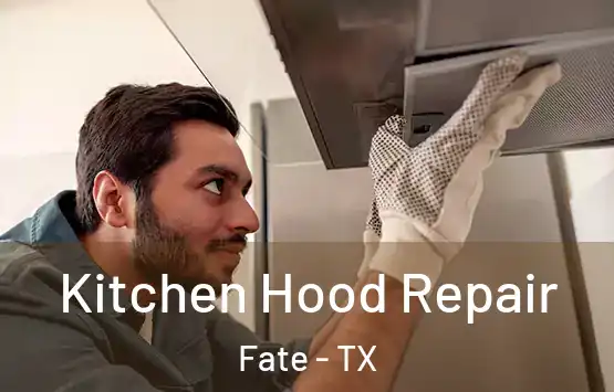  Kitchen Hood Repair Fate - TX