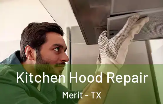  Kitchen Hood Repair Merit - TX