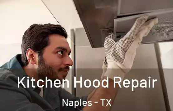  Kitchen Hood Repair Naples - TX