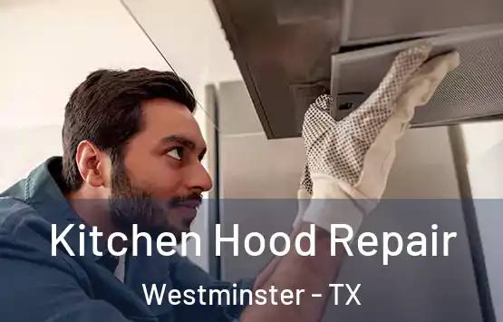  Kitchen Hood Repair Westminster - TX