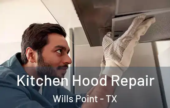  Kitchen Hood Repair Wills Point - TX