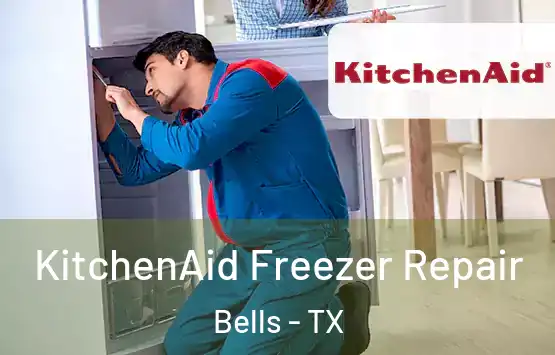  KitchenAid Freezer Repair Bells - TX