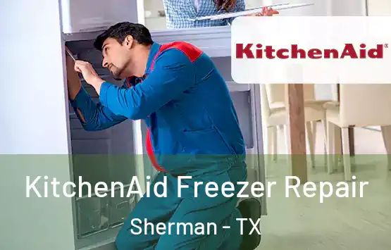  KitchenAid Freezer Repair Sherman - TX