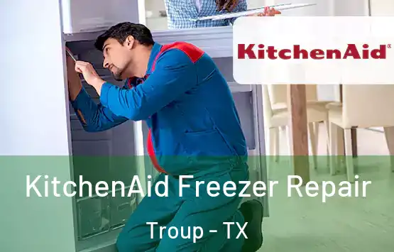  KitchenAid Freezer Repair Troup - TX