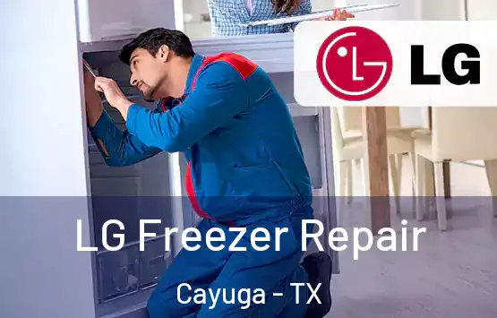  LG Freezer Repair Cayuga - TX