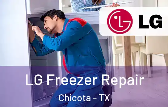  LG Freezer Repair Chicota - TX