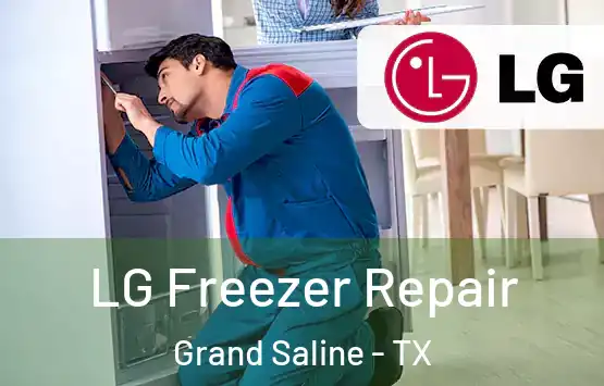  LG Freezer Repair Grand Saline - TX