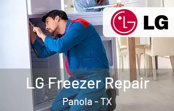  LG Freezer Repair Panola - TX