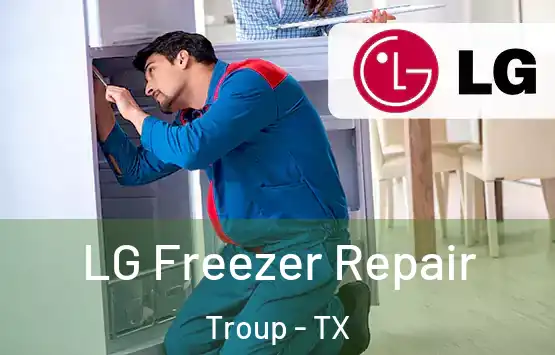  LG Freezer Repair Troup - TX