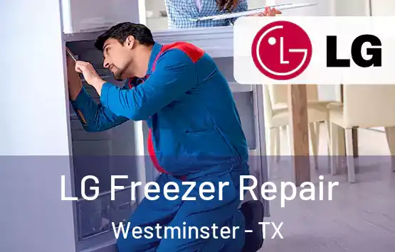  LG Freezer Repair Westminster - TX