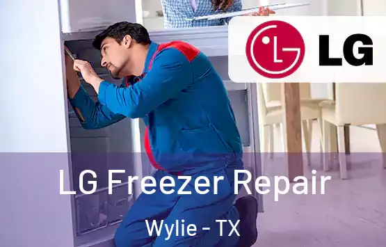  LG Freezer Repair Wylie - TX