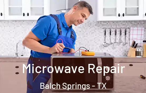  Microwave Repair Balch Springs - TX