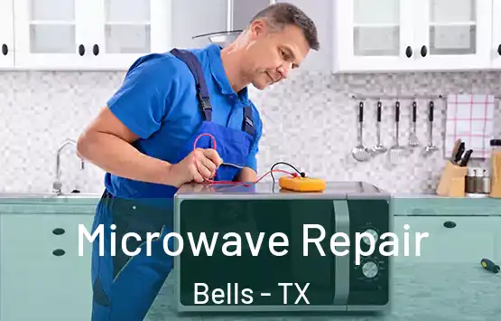  Microwave Repair Bells - TX