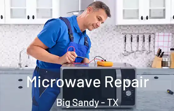  Microwave Repair Big Sandy - TX