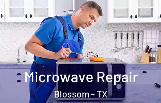  Microwave Repair Blossom - TX