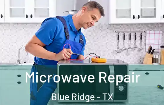  Microwave Repair Blue Ridge - TX