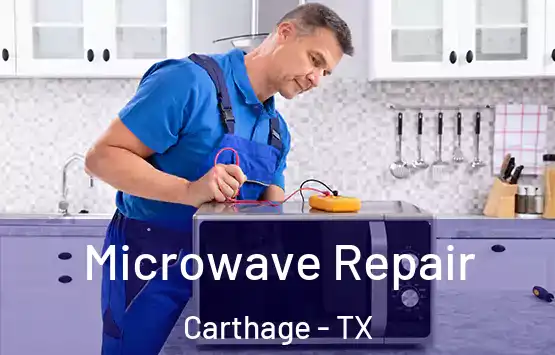  Microwave Repair Carthage - TX