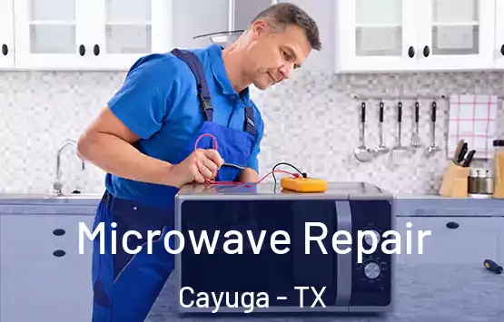  Microwave Repair Cayuga - TX