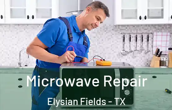  Microwave Repair Elysian Fields - TX