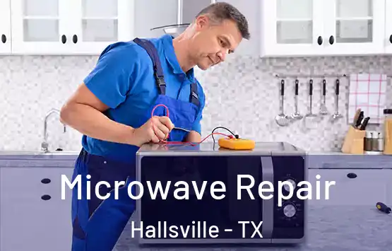  Microwave Repair Hallsville - TX