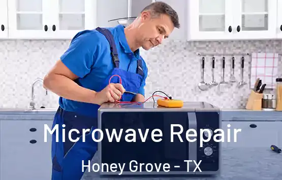  Microwave Repair Honey Grove - TX