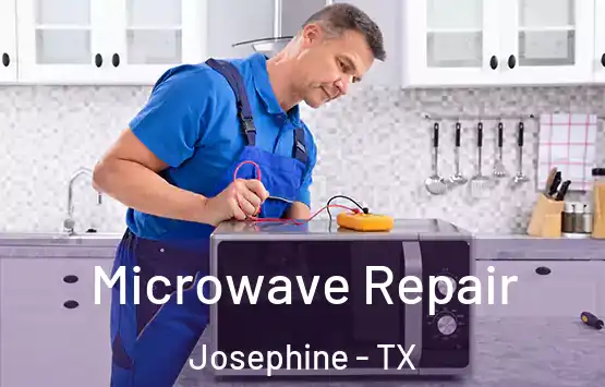  Microwave Repair Josephine - TX