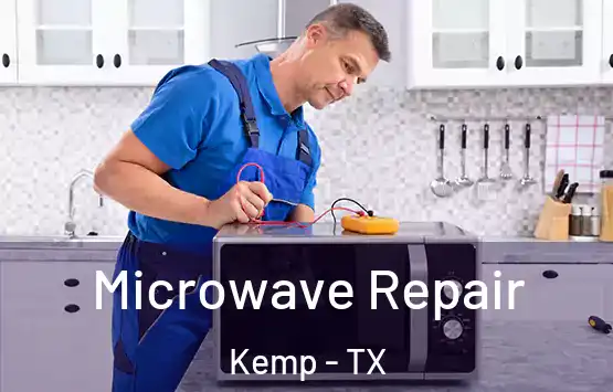 Microwave Repair Kemp - TX