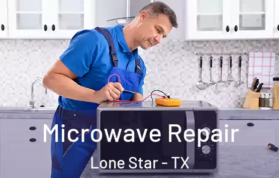  Microwave Repair Lone Star - TX
