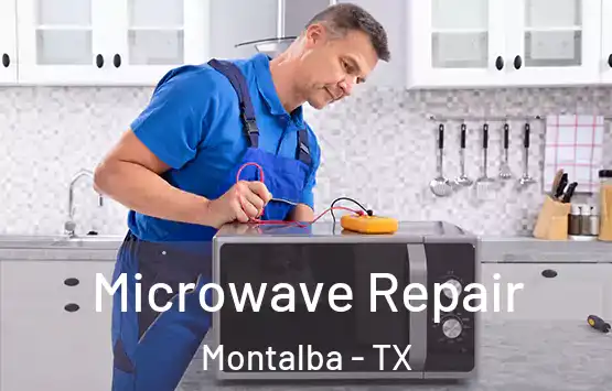  Microwave Repair Montalba - TX