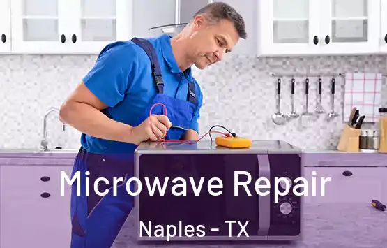  Microwave Repair Naples - TX