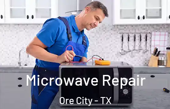  Microwave Repair Ore City - TX