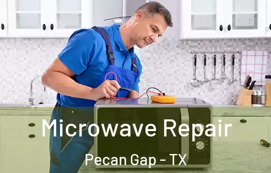  Microwave Repair Pecan Gap - TX