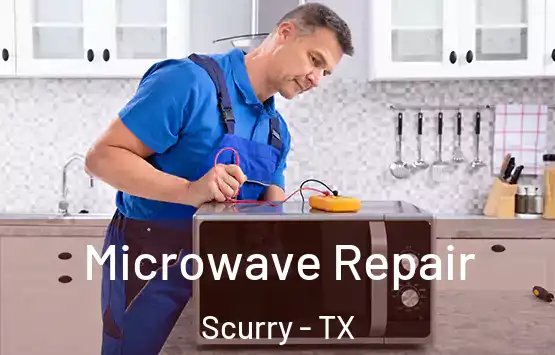  Microwave Repair Scurry - TX