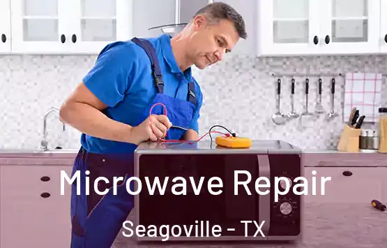  Microwave Repair Seagoville - TX