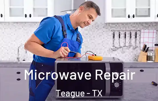  Microwave Repair Teague - TX