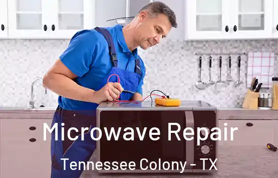  Microwave Repair Tennessee Colony - TX