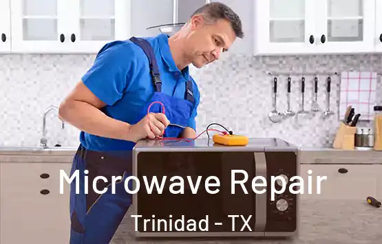  Microwave Repair Trinidad - TX