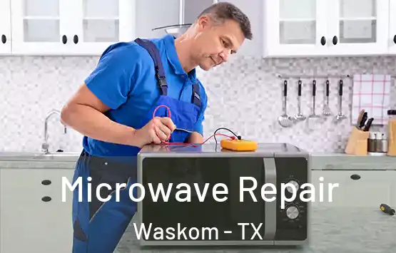  Microwave Repair Waskom - TX