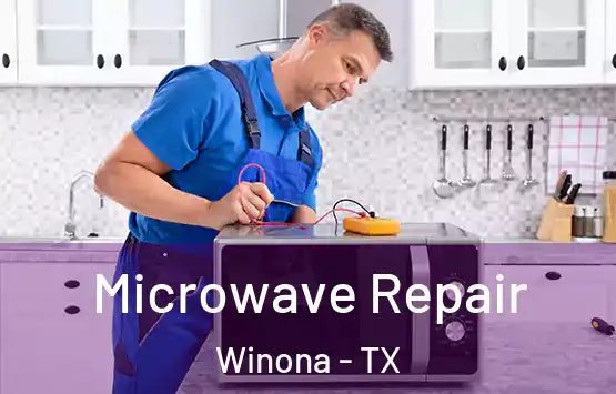  Microwave Repair Winona - TX