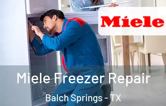  Miele Freezer Repair Balch Springs - TX
