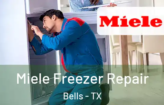  Miele Freezer Repair Bells - TX