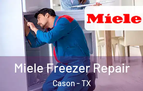  Miele Freezer Repair Cason - TX