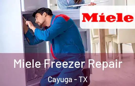  Miele Freezer Repair Cayuga - TX