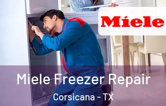  Miele Freezer Repair Corsicana - TX