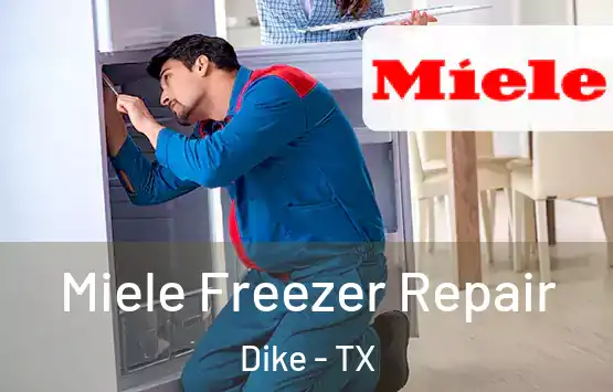  Miele Freezer Repair Dike - TX
