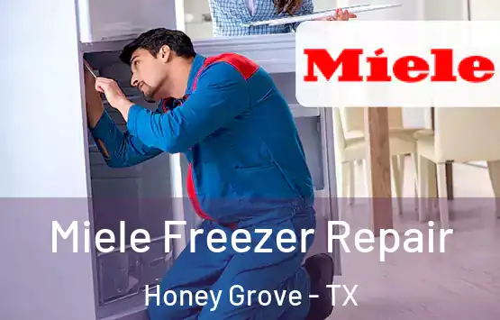  Miele Freezer Repair Honey Grove - TX