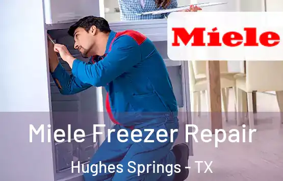  Miele Freezer Repair Hughes Springs - TX