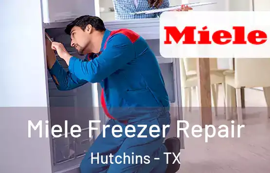  Miele Freezer Repair Hutchins - TX